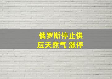 俄罗斯停止供应天然气 涨停